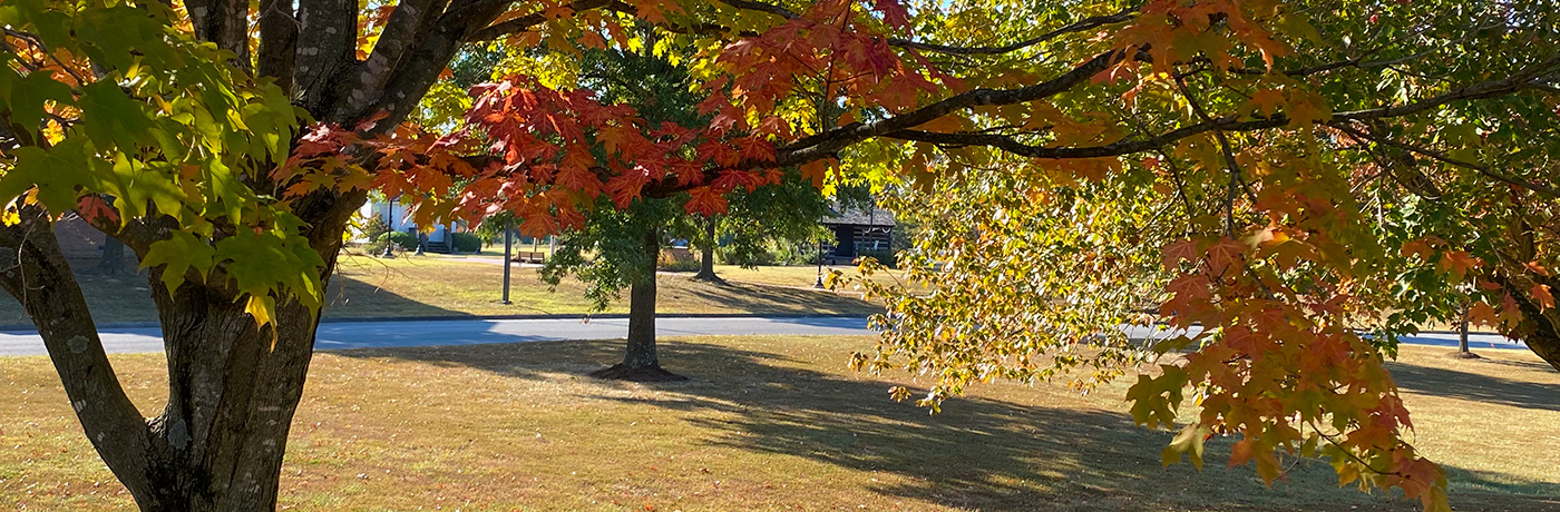 Picture of John A. Logan College campus outdoors with leaves changing color for fall.