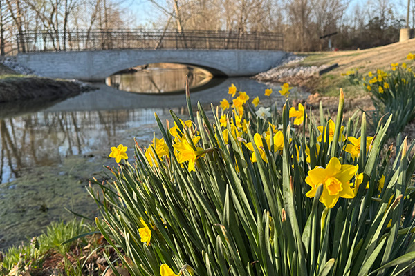 Flowers and bridge on JALC campus.