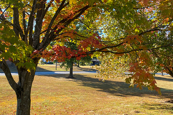 John A. Logan College campus outdoors with leaves changing color for fall.